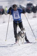 Lenk 2013